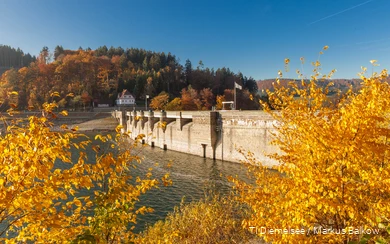 Diemelsee Herbst.jpg