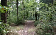 Wegeführung mitten durch den Wald