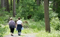 Wandern am Sorpesee