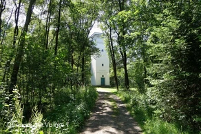 Mitten im Wald auf einer hellen Lichtung steht der