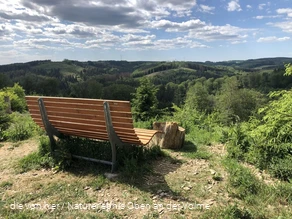 Der Aussichtspunkt mit Waldsofa und traumhaften Au