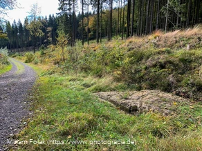 Der Hohlweg mit der Karrenspur in der Nähe der Lis