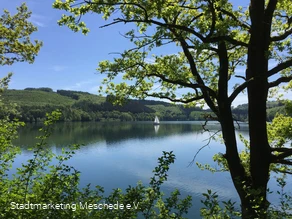 Hennesee