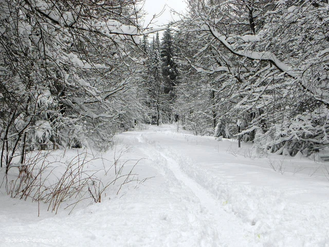 Pfad im Schnee