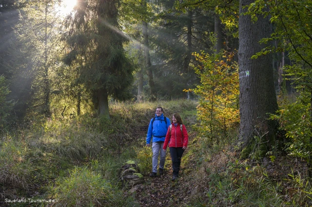 Auf der Sauerland-Waldroute am Möhnesee